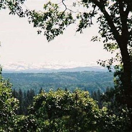 Sierra Sun Cloud Inn - Colfax (Adults Only) エクステリア 写真