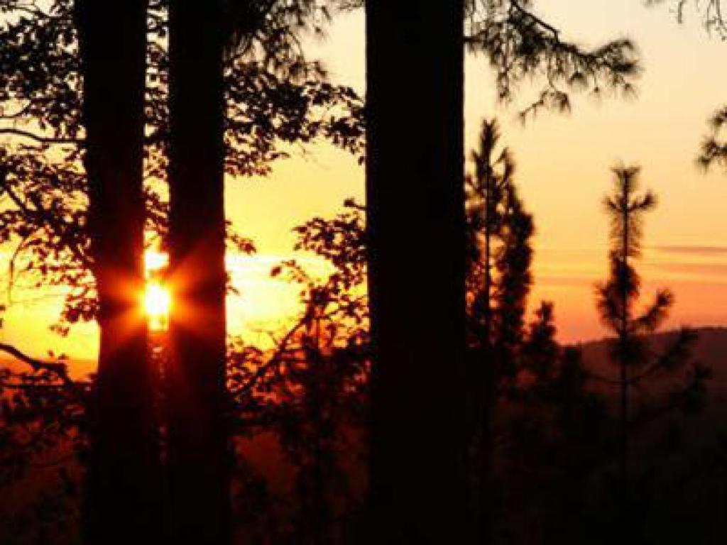 Sierra Sun Cloud Inn - Colfax (Adults Only) エクステリア 写真
