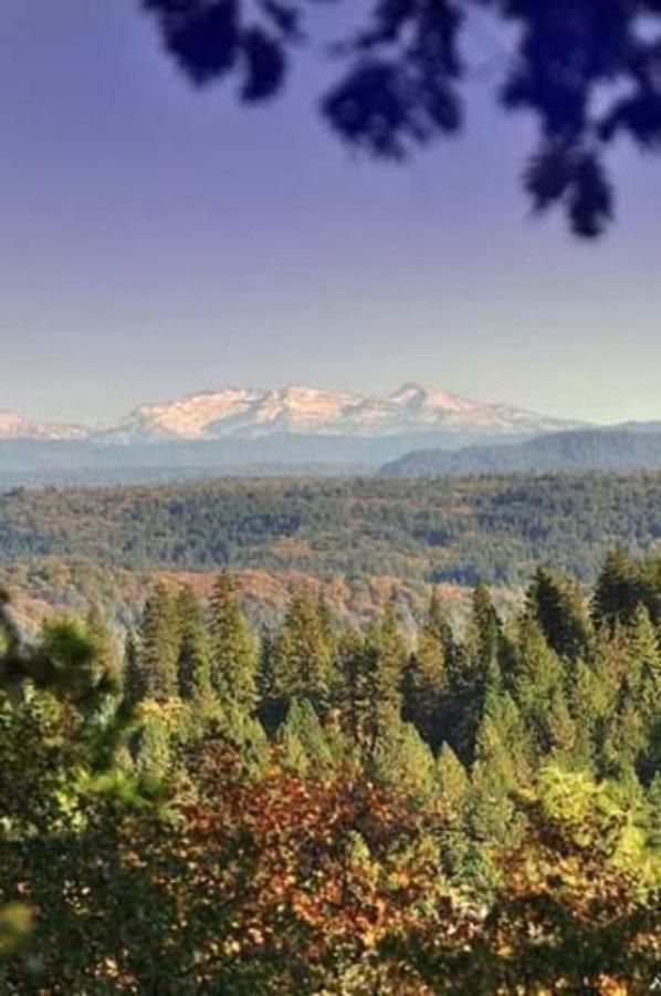 Sierra Sun Cloud Inn - Colfax (Adults Only) エクステリア 写真