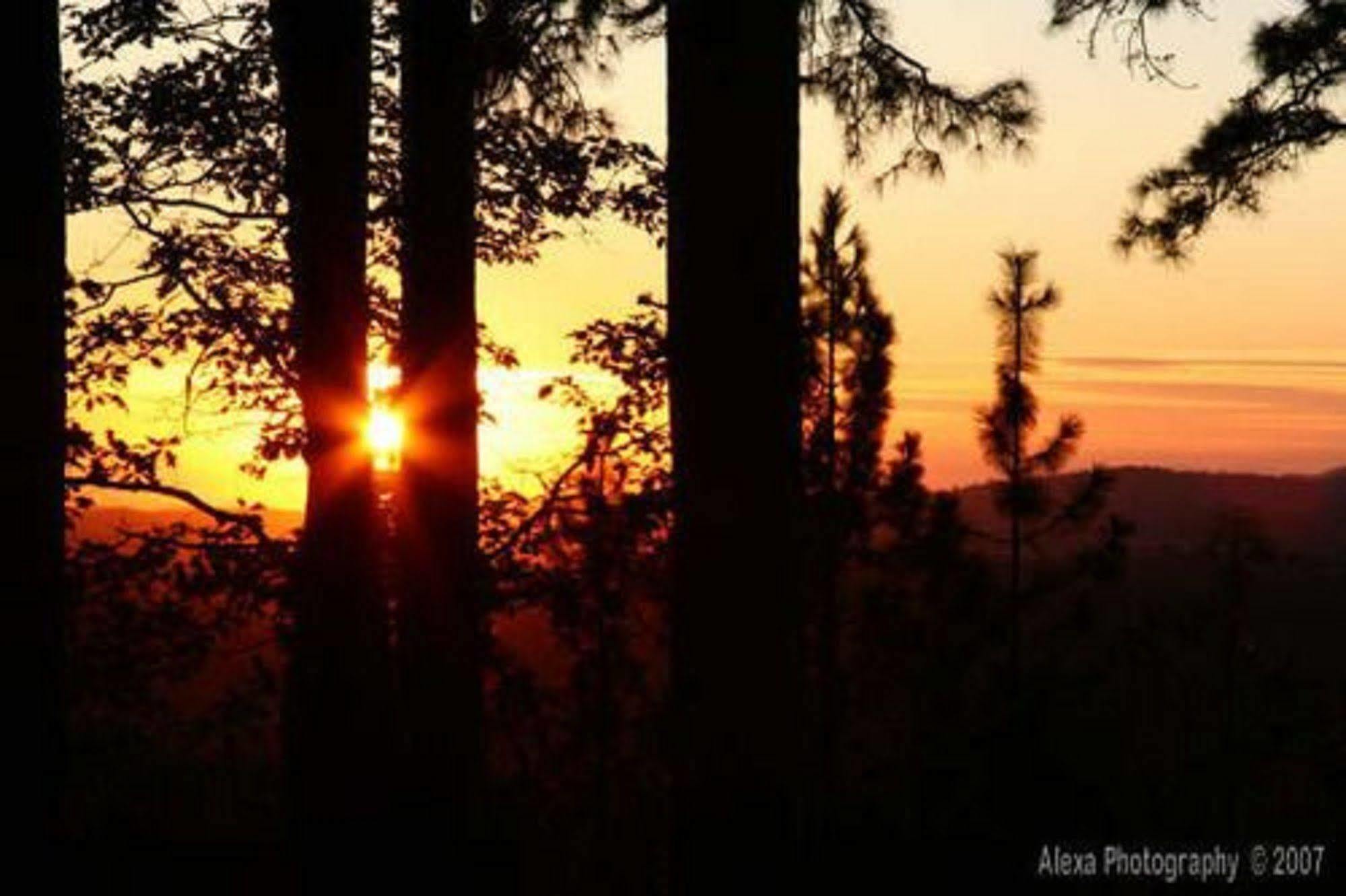 Sierra Sun Cloud Inn - Colfax (Adults Only) エクステリア 写真